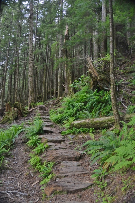 Rainbird Trail